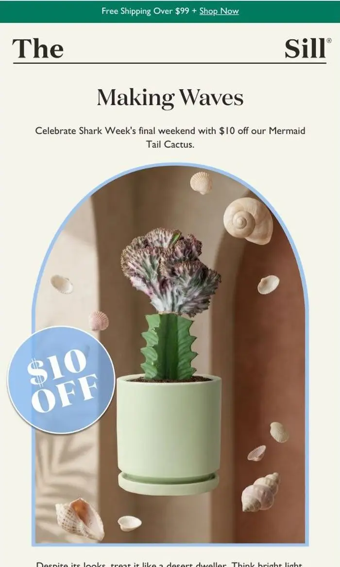 The Sill: Wonderfully weird (and $10 off)