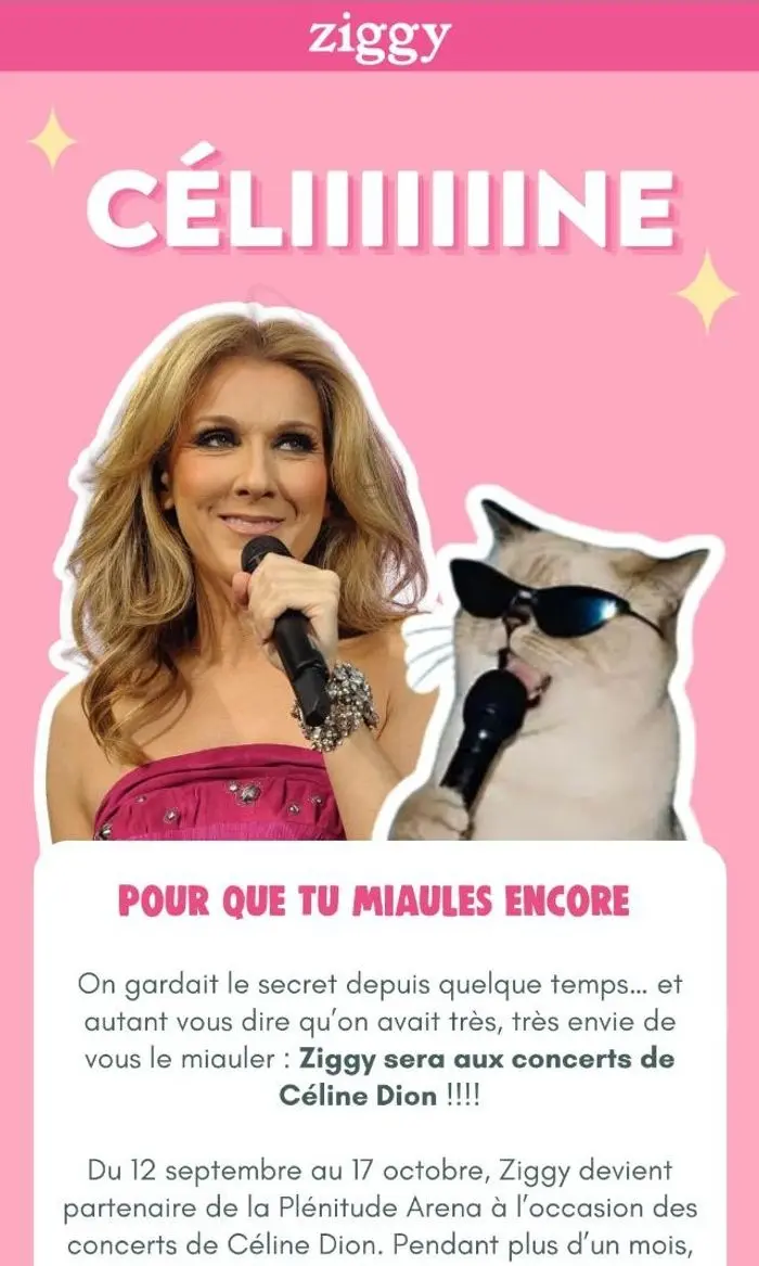 Ziggy: Pour que tu miaules encore 🎤😻