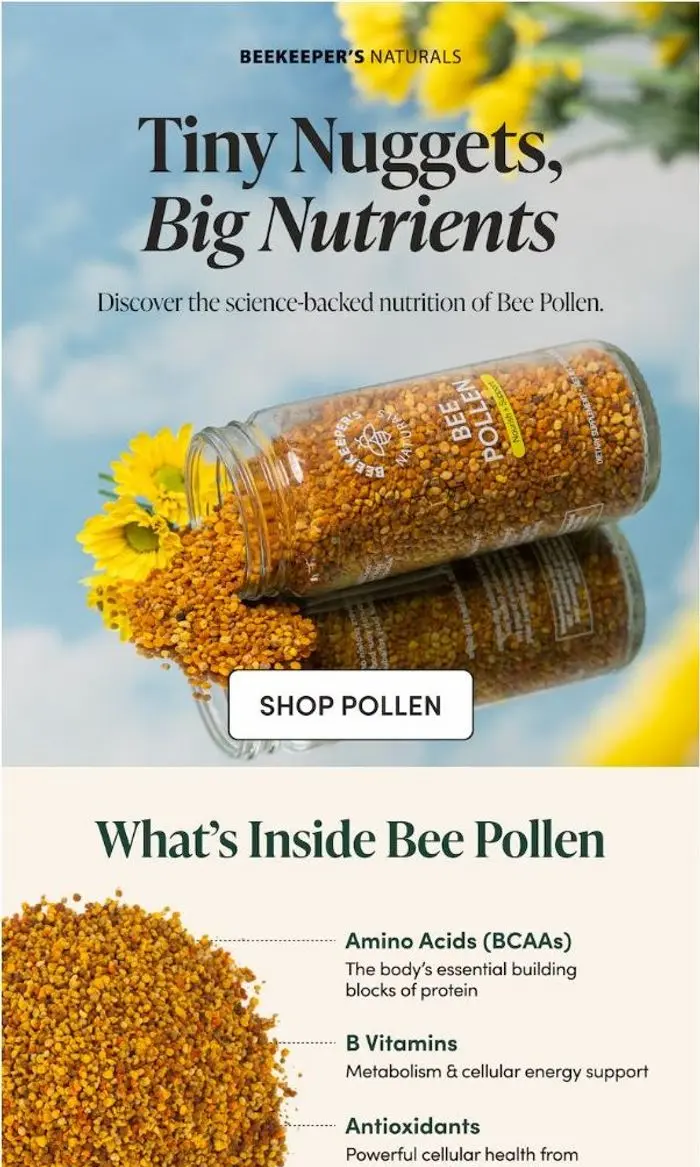 Beekeeper's Naturals: Nature's Multivitamin, Explained 🐝