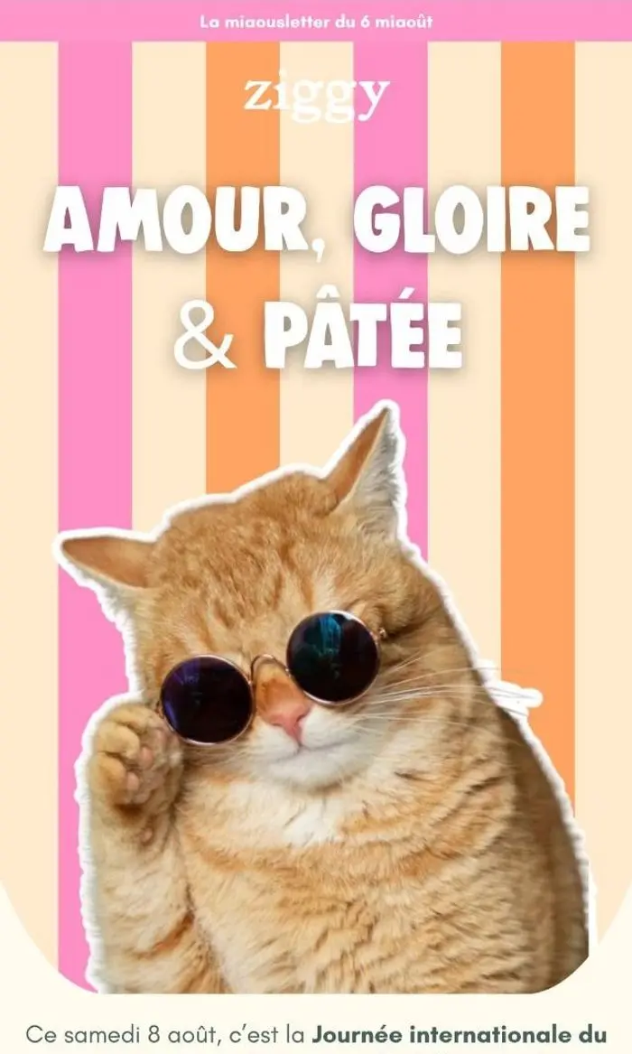 Ziggy: Amour, Gloire & Pâtée 💛