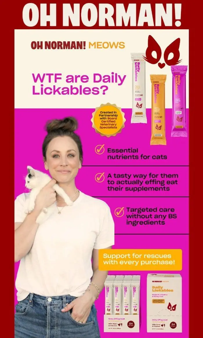 Oh Norman: WTF Is a Daily Lickable? 🐈‍⬛