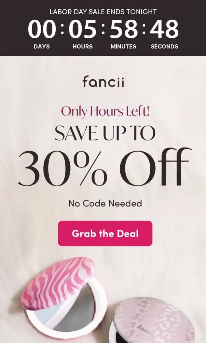 Fancii & Co.: Final Hours of the Labor Day Sale