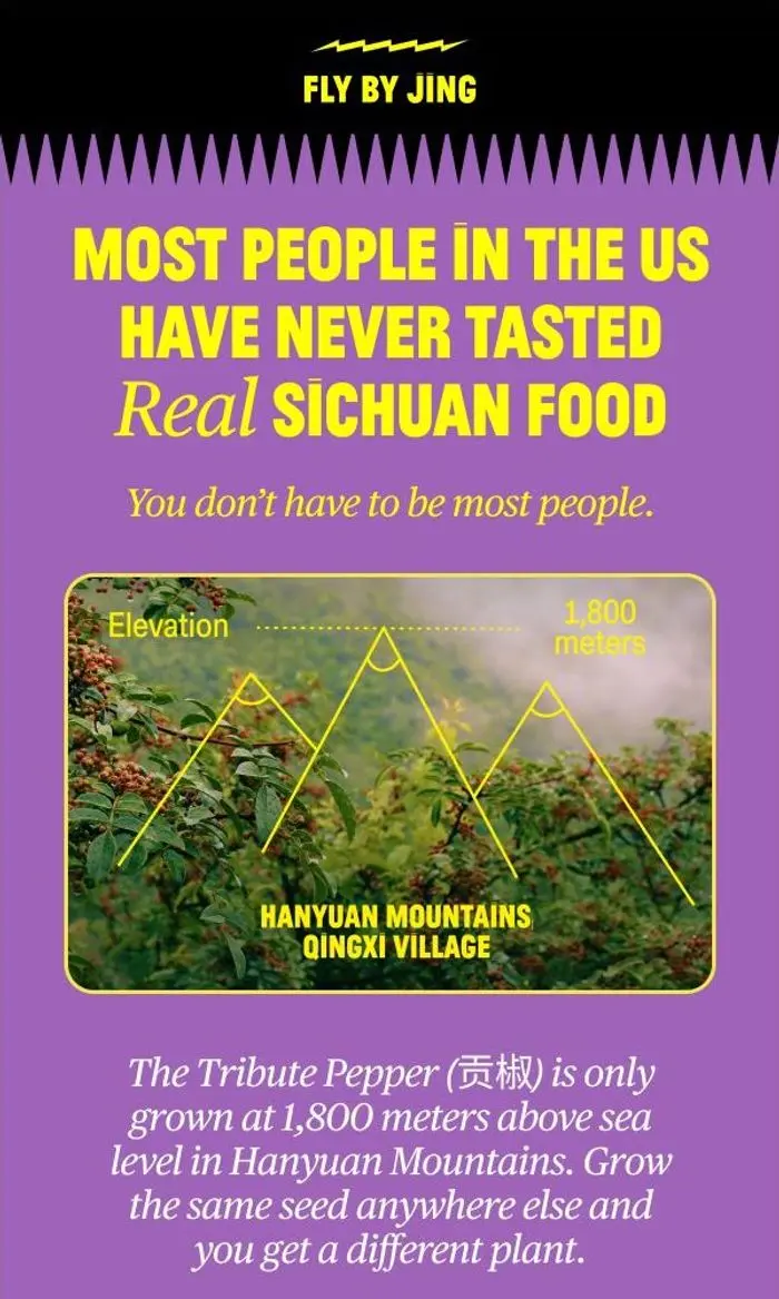 Fly By Jing: real Sichuan flavors, finally in your kitchen