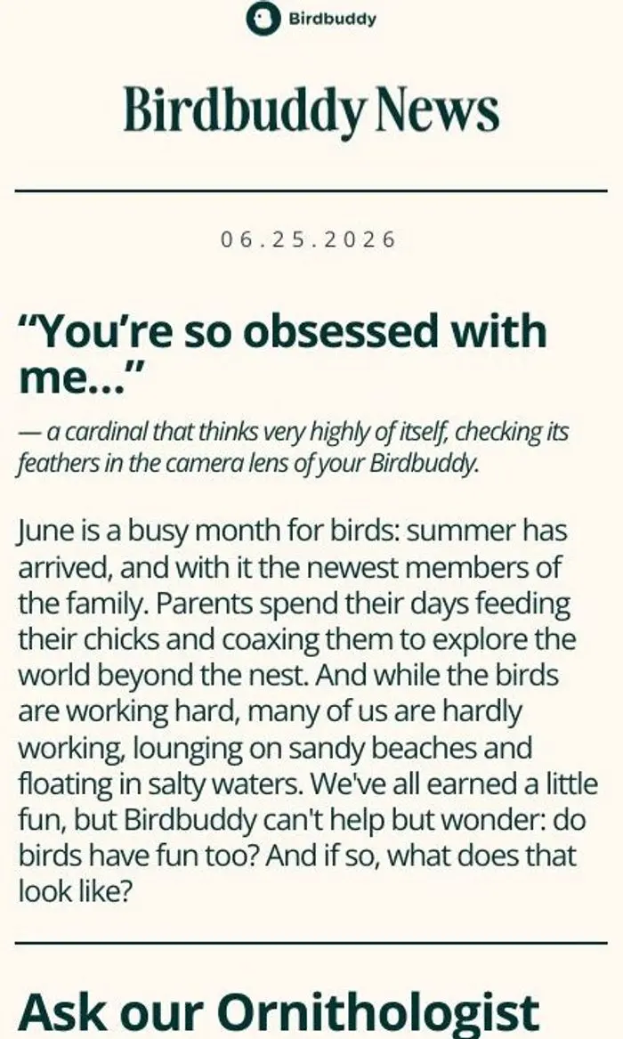 Birdbuddy: Just Spotted. The June Birdbuddy Newsletter.