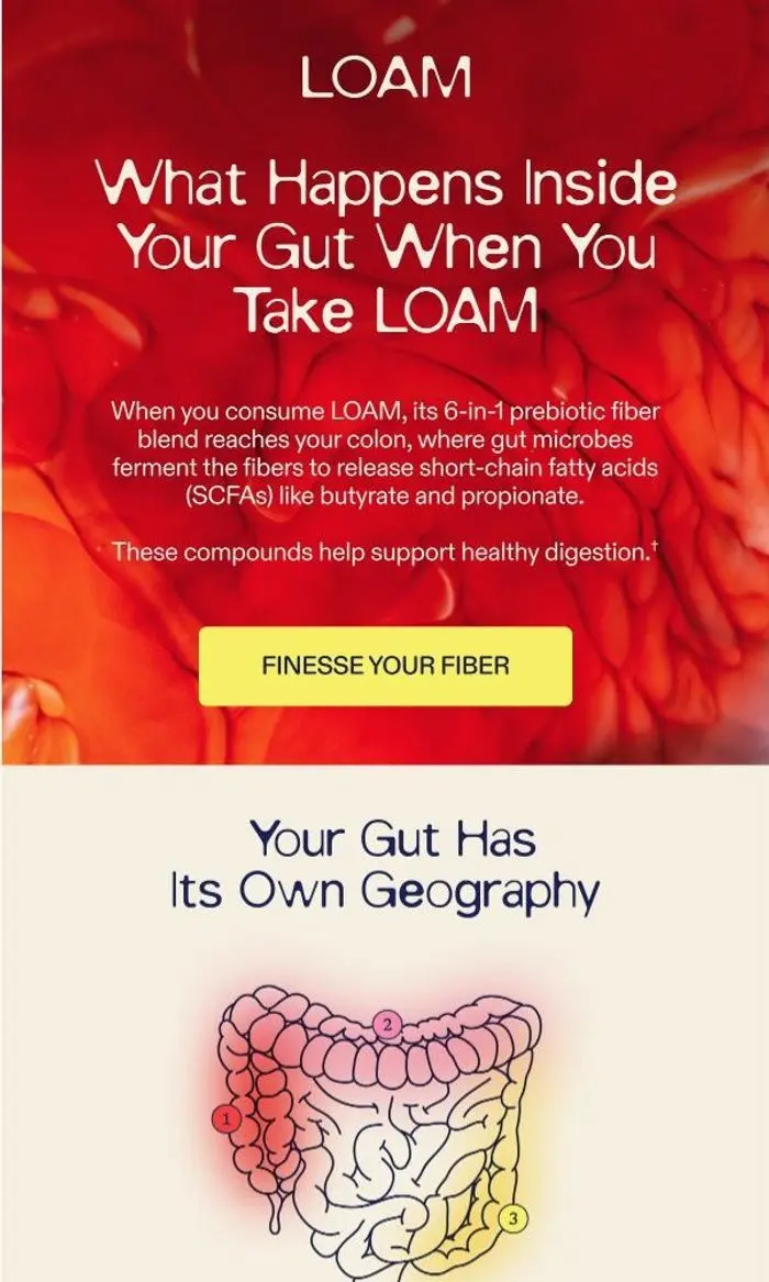 LOAM: The science of feeding your microbiome 🔬