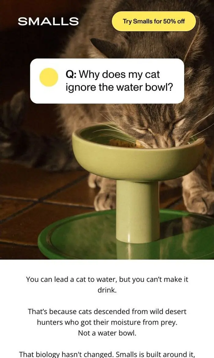 Smalls: The tastiest way to hydrate