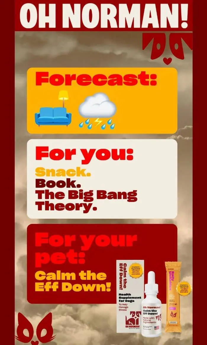 Oh Norman: Weather Forecast: ⛈️ Pet Forecast: Apocalypse 😱